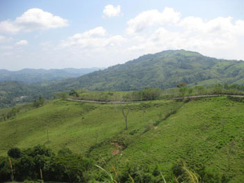 a road in Panama