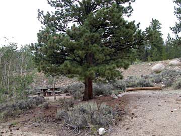 Lakeview Campground