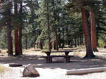 Olive Ridge Campground