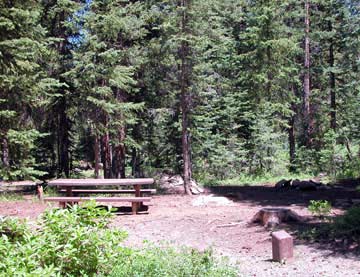 Spruce Grove Campground